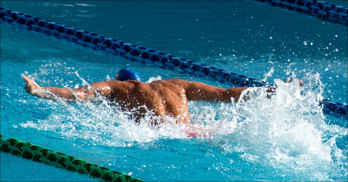 水泳選手の画像